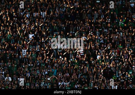 WROCLAW, POLONIA - 27 APRILE 2024: Partita di calcio polacca PKO Ekstraklasa tra Slask Wrocla e Ruch Chorzow. Sostenitori di Slask. Foto Stock