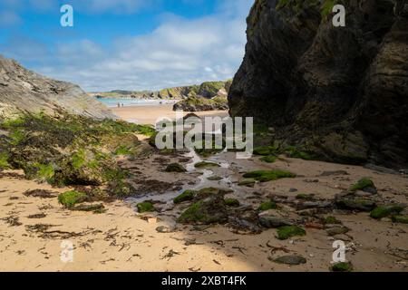 Le scogliere frastagliate sotto le scogliere della spiaggia Great Western GT Western a Newquay in Cornovaglia nel Regno Unito. Foto Stock