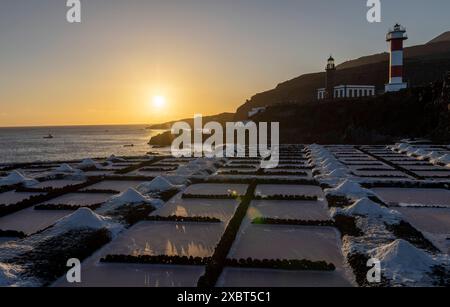 Salinas de Fuencaliente o Salinas Teneguía, stagni di evaporazione salina, la Palma, Isole Canarie, Spagna Foto Stock