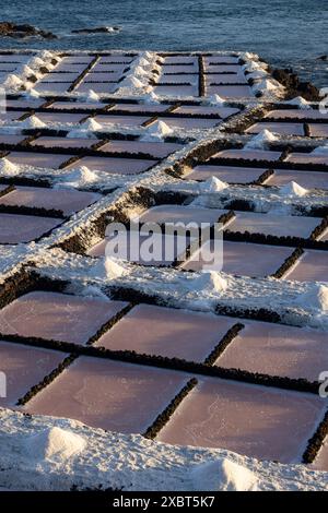 Salinas de Fuencaliente o Salinas Teneguía, stagni di evaporazione salina, la Palma, Isole Canarie, Spagna Foto Stock