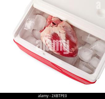 Cuore con ghiaccio in frigorifero su sfondo bianco, vista dall'alto Foto Stock