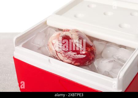 Cuore con ghiaccio nella scatola frigo sul tavolo su sfondo bianco Foto Stock