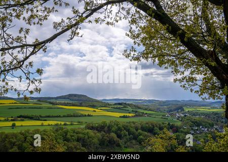 Immagine panoramica della valle di Brohl, Eifel, Renania-Palatinato, Germania Foto Stock
