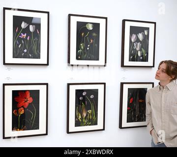 Fotografia e arte di livello mondiale sono riunite in un unico favoloso RHS Show presso la Saatchi Gallery. Dal 14 giugno al 7 luglio 2024, saranno esposte splendide opere d'arte botanica e fotografie con una ricca varietà di soggetti, dai fiori medicinali da dessert alle banane ornamentali, dalle immagini di muffe di melma forestali alle piante urbane. Presenterà il lavoro di 23 artisti leader a livello mondiale e 18 fotografi ... Foto Stock