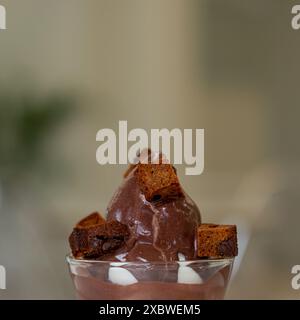 Primo piano di gelato con sciroppo al cioccolato e brownie in una tazza di plastica Foto Stock