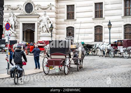 Cavalli da carro turistico White Lipizzaner, addestrati alla Scuola di equitazione spagnola di Vienna, capitale dell'Austria, il 2 maggio 2023 Foto Stock