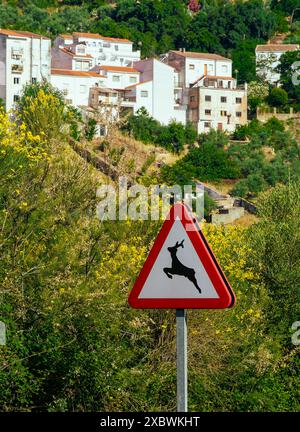 Segnali di avvertimento sulle strade pubbliche in Spagna, cervi o animali selvatici, Fuencaliente, Provincia di Ciudad Real Foto Stock