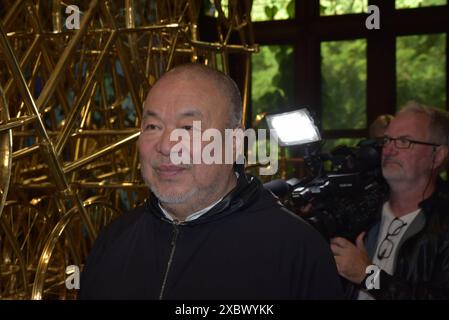 Ai Weiwei, oltre i confini, 2024, Kaiservilla, Bad Ischl, Oberösterreich, Manfred Siebinger *** ai Weiwei, oltre i confini, 2024, Kaiservilla, Bad Ischl, alta Austria, Manfred Siebinger Foto Stock