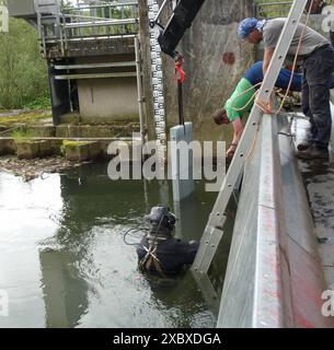 AM Wasserkraftwerk Horster Mühle an der Ruhr in Essen im Stadtteil Horst gelegen im Ruhrgebiet,Nordrhein-Westfalen NRW ,Deutschland wurden von Berufstauchern Die Rechen erneuert. Die Rechen Schützen die im Wasser befindlichen Turbinen vor Schäden,Die durch Treibholz,dicke Äste und anderweitige sperrige Gegenstände verursacht werden können,fotografiert AM 07.06.2024.Das Wasserkraftwerk liefert sauberen erneuerbaren Strom,gewonnen durch das Wasser aus der Ruhr,Fluss im Ruhrgebiet,Nordrhein-Westfalen NRW ,Deutschland. Die Rechenreiniger liegen vor den Rechen, collega ein erneuerter Rechen. Berufstauc Foto Stock