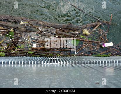 AM Wasserkraftwerk Horster Mühle an der Ruhr in Essen im Stadtteil Horst gelegen im Ruhrgebiet,Nordrhein-Westfalen NRW ,Deutschland wurden von Berufstauchern Die Rechen erneuert. Die Rechen Schützen die im Wasser befindlichen Turbinen vor Schäden,Die durch Treibholz,dicke Äste und anderweitige sperrige Gegenstände verursacht werden können,fotografiert AM 07.06.2024.Das Wasserkraftwerk liefert sauberen erneuerbaren Strom,gewonnen durch das Wasser aus der Ruhr,Fluss im Ruhrgebiet,Nordrhein-Westfalen NRW ,Deutschland. Die Rechenreiniger liegen vor den Rechen, collega ein erneuerter Rechen. Angeschwem Foto Stock