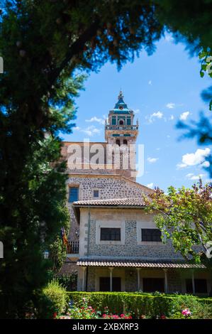 Iglesia de la Cartuja Church Tower, Valldemossa, Maiorca, durante la giornata di sole con alberi davanti, tiro verticale, Maiorca Foto Stock