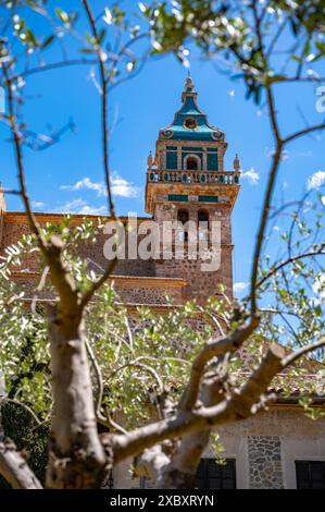 Iglesia de la Cartuja Church Tower, Valldemossa, Maiorca, rami di alberi davanti, tiro verticale, Maiorca Foto Stock