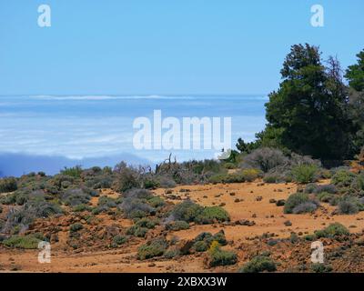 Spettacolare vista sulle nuvole dal mirador nel Parco Nazionale del Vulcano Teide, Tenerife, Isole Canarie. Foto Stock