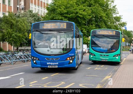 Due autobus Whippet e Stagecoach alla fermata dell'ospedale Addenbrookes Foto Stock