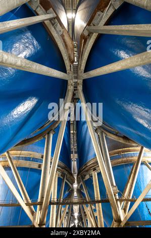 Attrezzature per la lavorazione di ortaggi freschi dopo la raccolta, lo stoccaggio, la cernita, il lavaggio, il taglio, imballaggio, agricoltura nei Paesi Bassi Foto Stock