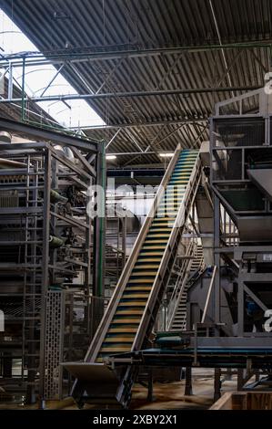 Attrezzature per la lavorazione di ortaggi freschi dopo la raccolta, lo stoccaggio, la cernita, il lavaggio, il taglio, imballaggio, agricoltura nei Paesi Bassi Foto Stock
