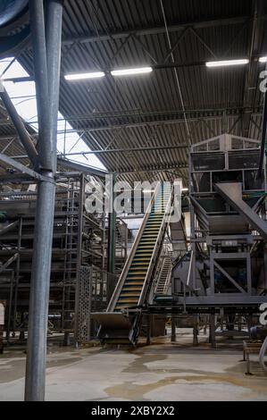 Attrezzature per la lavorazione di ortaggi freschi dopo la raccolta, lo stoccaggio, la cernita, il lavaggio, il taglio, imballaggio, agricoltura nei Paesi Bassi Foto Stock