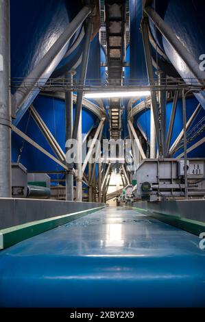 Attrezzature per la lavorazione di ortaggi freschi dopo la raccolta, lo stoccaggio, la cernita, il lavaggio, il taglio, imballaggio, agricoltura nei Paesi Bassi Foto Stock