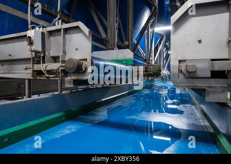 Attrezzature per la lavorazione di ortaggi freschi dopo la raccolta, lo stoccaggio, la cernita, il lavaggio, il taglio, imballaggio, agricoltura nei Paesi Bassi Foto Stock