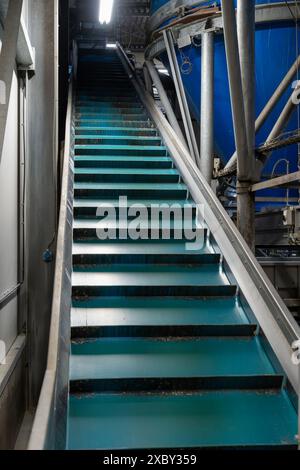 Attrezzature per la lavorazione di ortaggi freschi dopo la raccolta, lo stoccaggio, la cernita, il lavaggio, il taglio, imballaggio, agricoltura nei Paesi Bassi Foto Stock