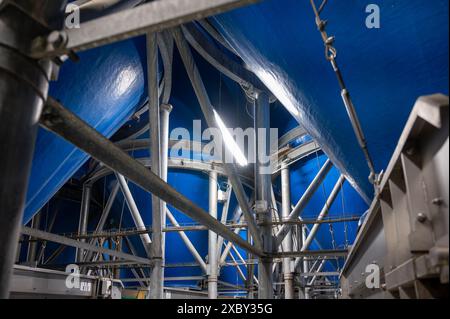Attrezzature per la lavorazione di ortaggi freschi dopo la raccolta, lo stoccaggio, la cernita, il lavaggio, il taglio, imballaggio, agricoltura nei Paesi Bassi Foto Stock