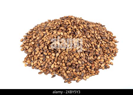 Semi di anguria arrostiti. semi di anguria e arrostirli e il vostro spuntino è pronto. Prepara alcuni di questi con la tua scatola di noci per dare al tuo corpo l'addi Foto Stock