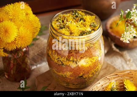 Vaso di vetro riempito con fiori di tarassone freschi e zucchero di canna - preparazione di sciroppo alle erbe Foto Stock