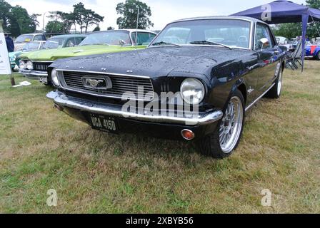 Una Ford Mustang del 1966 parcheggiata in mostra al 48th Historic Vehicle Gathering, Powderham, Devon, Inghilterra, Regno Unito. Foto Stock