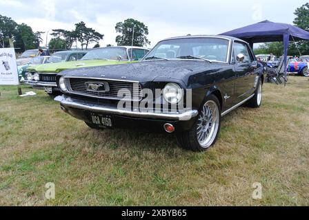 Una Ford Mustang del 1966 parcheggiata in mostra al 48th Historic Vehicle Gathering, Powderham, Devon, Inghilterra, Regno Unito. Foto Stock