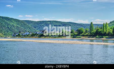 Livelli d'acqua estremamente bassi sul fiume Reno lasciano una pericolosa barra di sabbia esposta al centro della rotta di navigazione in Germania. Foto Stock