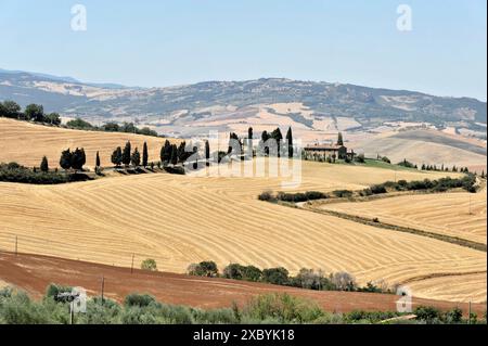 Campi di grano raccolti, paesaggio a sud di Pienza, Toscana, Italia, Europa, Vista di una città storica su una collina circondata da campi dorati e verde Foto Stock