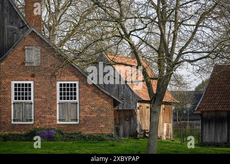 Vecchia fattoria in mattoni con porte e finestre in legno, circondata da alberi e un ambiente rurale, Vreden, Renania settentrionale-Vestfalia, Germania Foto Stock