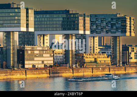 Case di gru nel porto di Rheinau, viste dall'altra parte del Reno dal ponte sud di Colonia, Renania settentrionale-Vestfalia, Germania Foto Stock