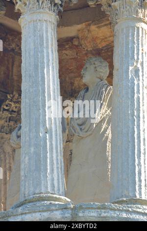 Statua e colonne con fluting al monumento Julier, mausoleo, dettaglio, fluting, scanalature, bianco, pietra, romano, antico, romano, Les Foto Stock