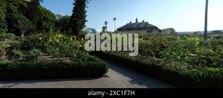 Palace Rose Garden, Royal Botanic Gardens, vista del Conservatorio di musica - Government House Stables di Francis Greenway, Sydney, Australia Foto Stock