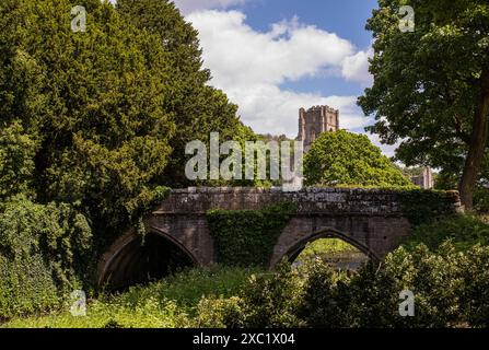 Ponte ad arco in pietra sul fiume skell con torre dell'Abbazia delle Fontane sullo sfondo. Ripon, North Yorkshire, Inghilterra, Regno Unito. Foto Stock