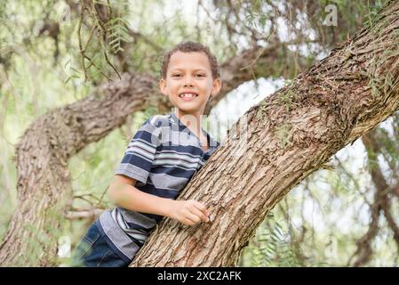 Ragazzo che sale sull'albero e sorride nella macchina fotografica Foto Stock