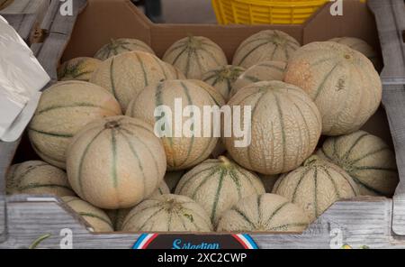 Meloni, banchi di mercato, Chauffailles, dipartimento Saône-et-Loire; Bourgogne-Franca Contea; Francia orientale Foto Stock