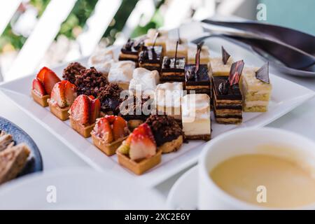 Elegante assortimento di mini dessert su piatto Foto Stock