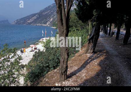 Spiaggia di Torri del Benaco sulla sponda orientale del Lago di Garda, Veneto, Lombardia, Italia Foto Stock
