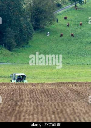 Una vista panoramica di un'azienda agricola con un trattore in primo piano e mucche pascolano su una collina verde Foto Stock