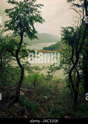 Splendida vista attraverso gli alberi del bacino idrico di Idukki attraverso il fiume Periyar, il distretto di Idukki, Kerala. Foto Stock