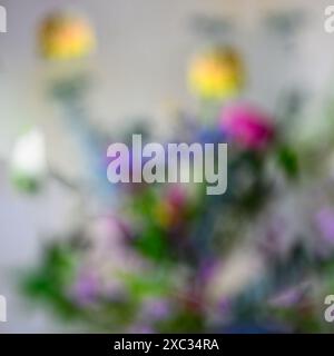 Foto astratta sfocata di colorati fiori da giardino in tonalità rosa, rosso e lilla Foto Stock
