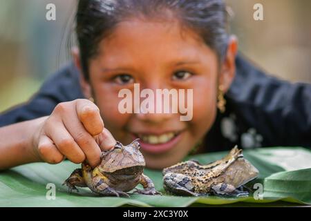 Suriname, Tepu. Una ragazza della tribù Trio sta giocando con specie in via di estinzione di una rana corna. Foto Stock