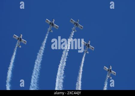 Furgoni, RV-8. Squadra Raven, squadra Aerobatic Foto Stock