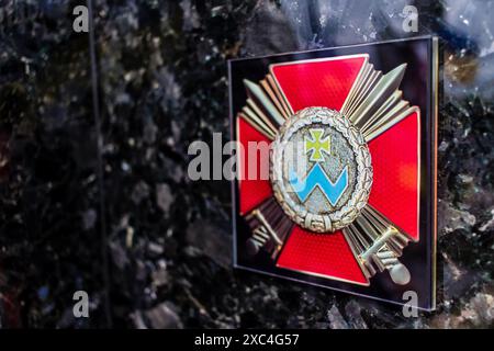 Charkiv, Ucraina, 13 giugno 2024 Aleya Slavy, cimitero militare a sud di Charkiv. Qui riposano i soldati, gli eroi che hanno difeso l'Ucraina. Foto Stock
