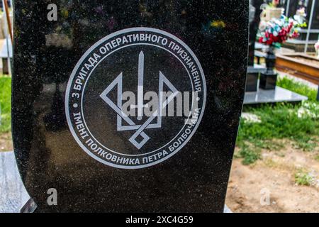 Charkiv, Ucraina, 13 giugno 2024 Aleya Slavy, cimitero militare a sud di Charkiv. Qui riposano i soldati, gli eroi che hanno difeso l'Ucraina. Foto Stock