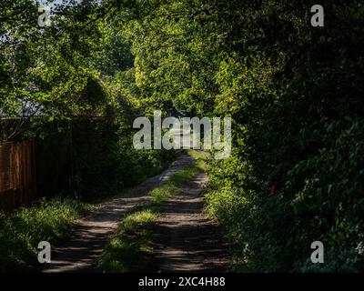 Una strada sterrata attraversa gli alberi accanto alla struttura abitativa Kamiseya della Marina degli Stati Uniti dismessa e abbandonata a Yokohama, in Giappone. Foto Stock