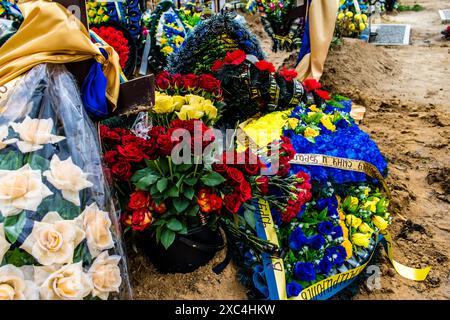 Charkiv, Ucraina, 13 giugno 2024 Aleya Slavy, cimitero militare a sud di Charkiv. Le tombe dei soldati, eroi che hanno difeso l'Ucraina sono coperte Foto Stock