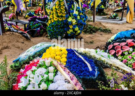 Charkiv, Ucraina, 13 giugno 2024 Aleya Slavy, cimitero militare a sud di Charkiv. Le tombe dei soldati, eroi che hanno difeso l'Ucraina sono coperte Foto Stock